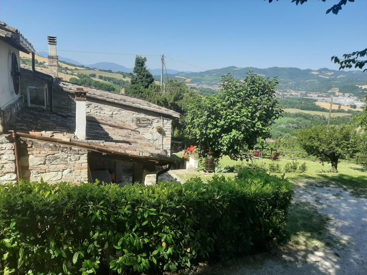 Holidays Ca Tassino Urbino Bagian luar foto